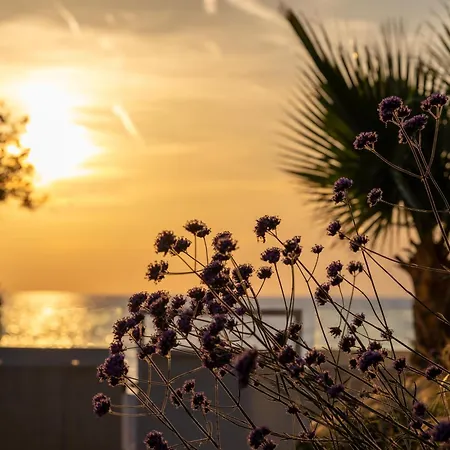 Adria Seafront Luxury A Private Pool * Zaton (Zadar)