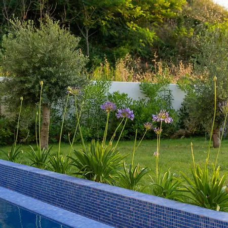 Adria Seafront Luxury A Private Pool